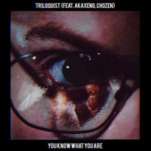 You Know What You Are (feat. Chozen666)