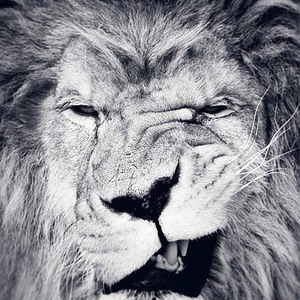 drake-白日梦（宋佳峻 Remix）