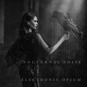 Nocturnal Noise 3 (feat. Octavian Boca)