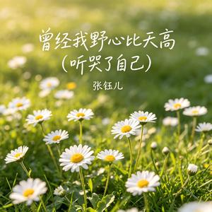 曾经我野心比天高 (听哭了自己)