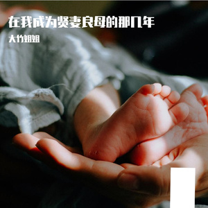 在我成为贤妻良母的那几年（重置版）