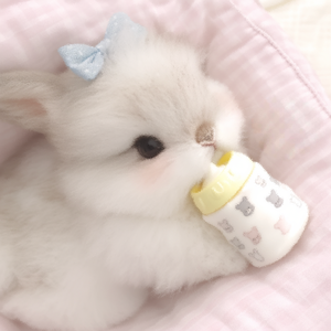 ‎‎‎‎‎‎‎‎‎‎‎‎