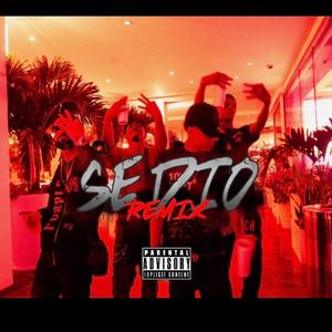 SE DIO REMIX (feat. Hollowprrr, Joozt & Yaviel)