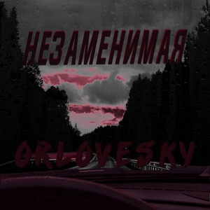 Незаменимая