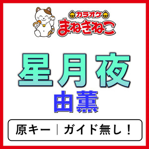 星月夜（カラオケ）[由薫]