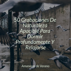 Huellas Solitarias en el Crepúsculo