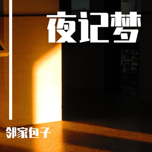 夜记梦