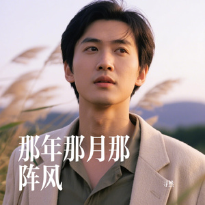 那年那月那阵风