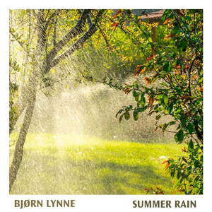 Summer Rain