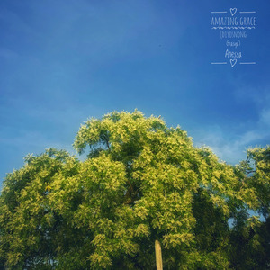 Amazing Grace (Diyosnong Grasya) (Unplugged Ukulele Bisaya Version)