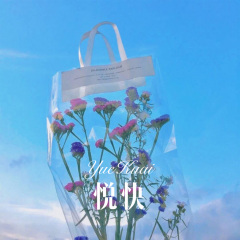 夏夜星空海 (Remix)