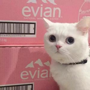 零几年听的情歌