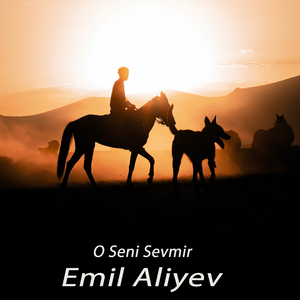 O Seni Sevmir