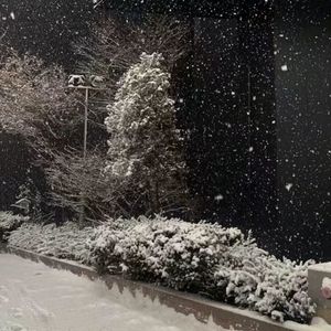 相爱没有那么容易-热门原声