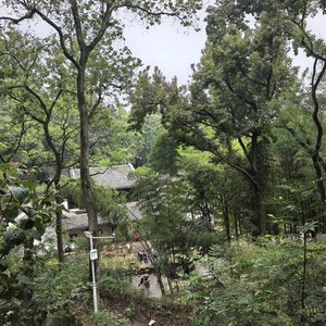 《路过的人会记得光》 (online-audio-converter.com).mp3