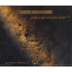 Wir haben Euch noch nichts getan (Freunde-Insomnia Remix)