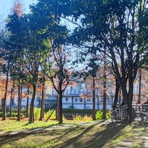 山鬼说