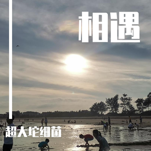 不期而遇