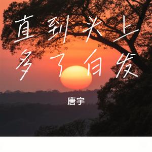 直到头上多了白发