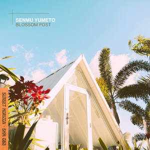 Blossom Post (Extended Mix)