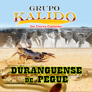 Perros y Gatos