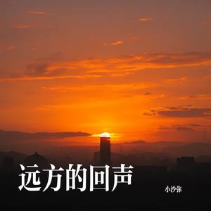 远方的回声