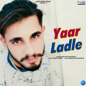 Yaar Ladle