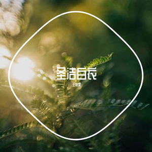 圣洁白衣