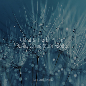 Echoes of Rust and Concrete