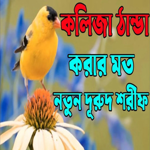 কলিজা ঠান্ডা করার মত নতুন দুরুদ শরীফ। ভাইরাল দুরুদ শরীফ। আল্লাহুম্মা শের