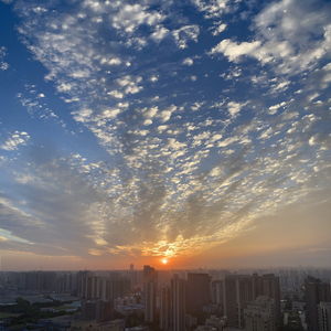 我的美丽（Cover 海洋Bo）