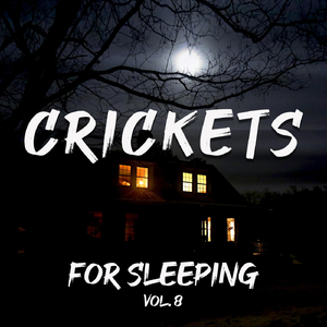 For Sleeping, Vol. 8: Crickets, Pt. 10