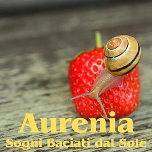 Sogni Baciati dal Sole