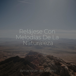 Ecos de Brisas Lamentosas