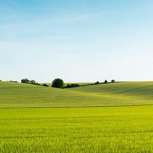 红色高跟鞋（翻唱）