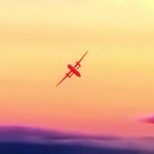 那是一年秋天，她手捧鲜花站在草丛中