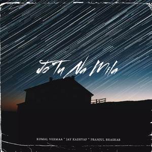 Jo Tu Na Mila (Lofi Version)