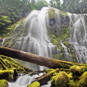 我们（翻自许巍）