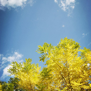 成长瞬间 自制木琴版