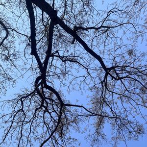 明天报纸上刊登我死去的消息