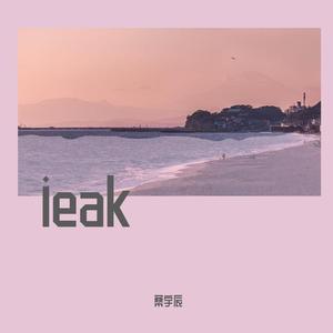 ieak（demo）
