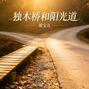 独木桥和阳光道