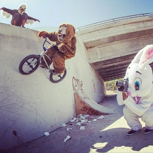 free-拟态迪士科 BPM128@SHOBEATZ