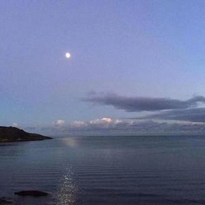 喉咙唱的沙哑（烟嗓版）（翻自 枯木逢春）