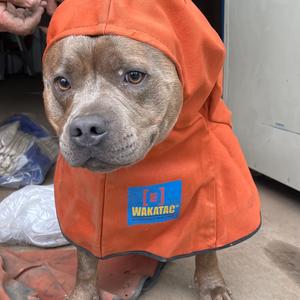 Nathan, post your beats bro.wav