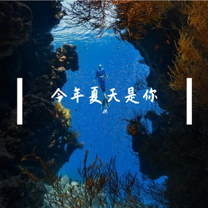 今年夏天是你 伴奏