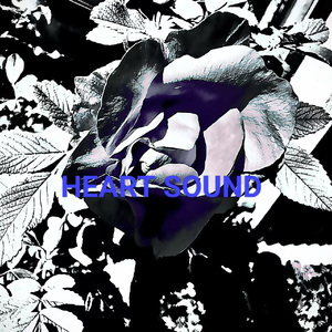 HEART SOUND(OUTRO)