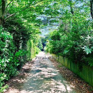 フロントメモリー feat. ACAね