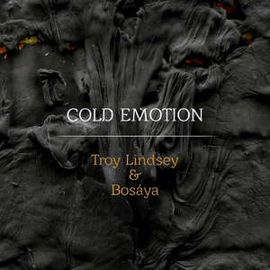 Cold Emotion (feat. Bosaya)