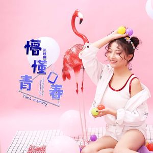 懵懂青春 (Dj翊轩)